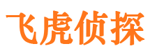 桂东市侦探